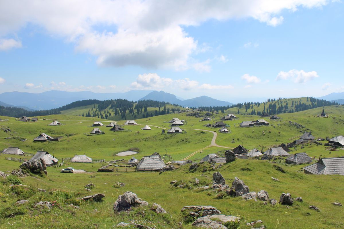 Planina nad Bovcem, kjer se pasejo živali za mleko za naše sire